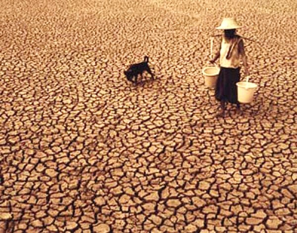 World Food Program In Bangladesh