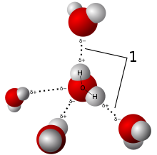 water molecules