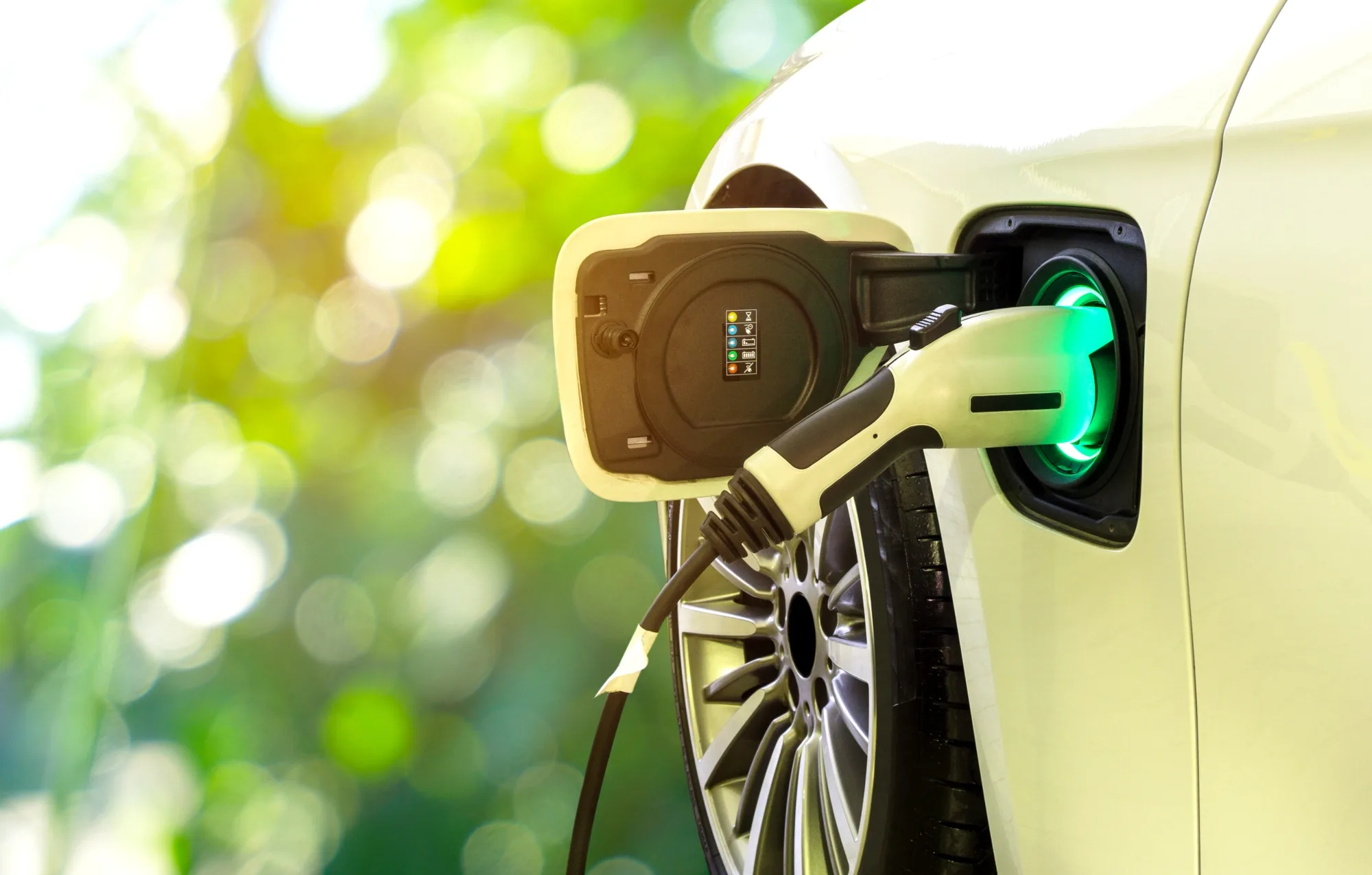 Learn how to Organize an Electric Vehicle Event in Your Community