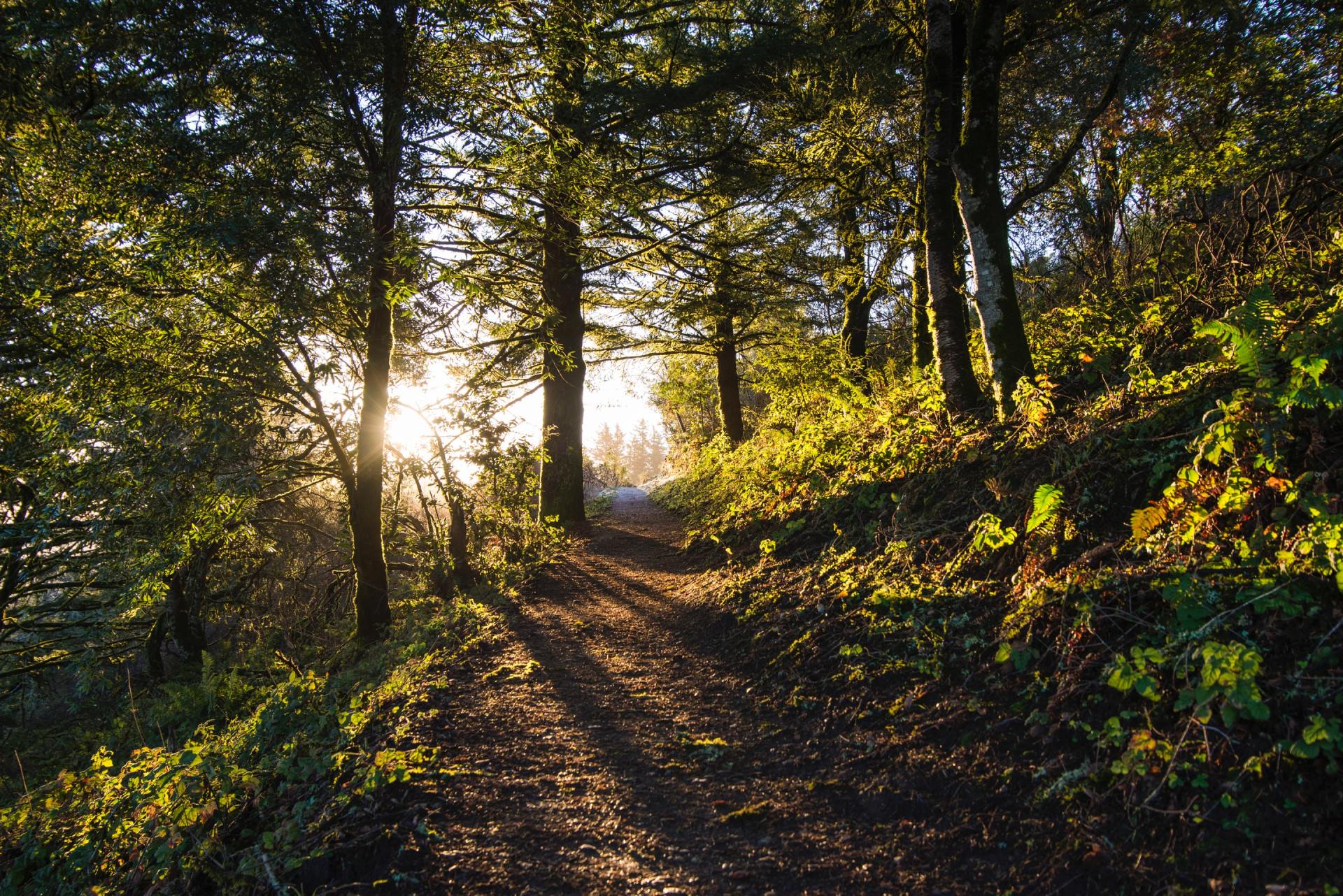 Environmental Rights Amendment - Summer Gathering